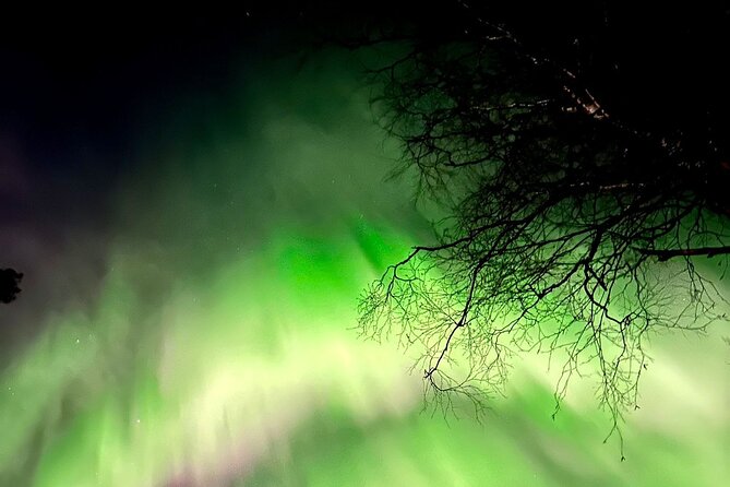 Rovaniemi: Aurora Hunting & Photography Tour - The guide makes or breaks the night