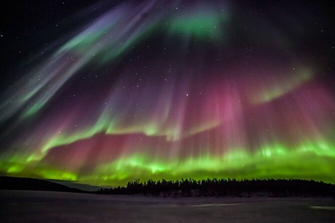 Rovaniemi Aurora Hunting Tour - The real appeal: an Aurora hunt with a human scale