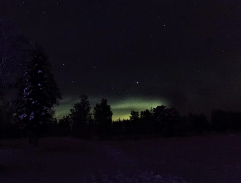 Rovaniemi: Aurora Hunting Tour in the Forest with Hot Drinks - Why this tour is more than a Northern Lights photo stop