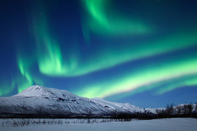 Rovaniemi Aurora Hunting Tour - Pickup from central Rovaniemi