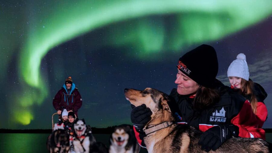 Rovaniemi: Aurora Husky Safari Through the Forest - The 30-minute ride through the snowy forest