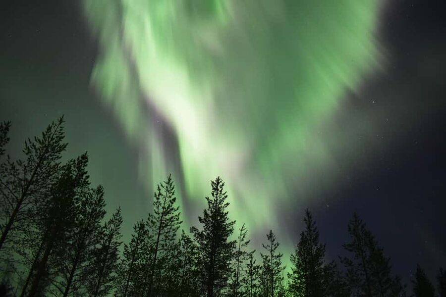 Rovaniemi: Aurora Husky Safari Through the Forest - Choosing your pickup point in Rovaniemi
