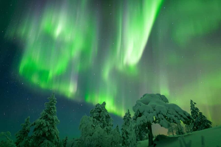 Rovaniemi: Auroras Northern Lights Trip - guaranteed lights - A five-hour aurora night outside Rovaniemi