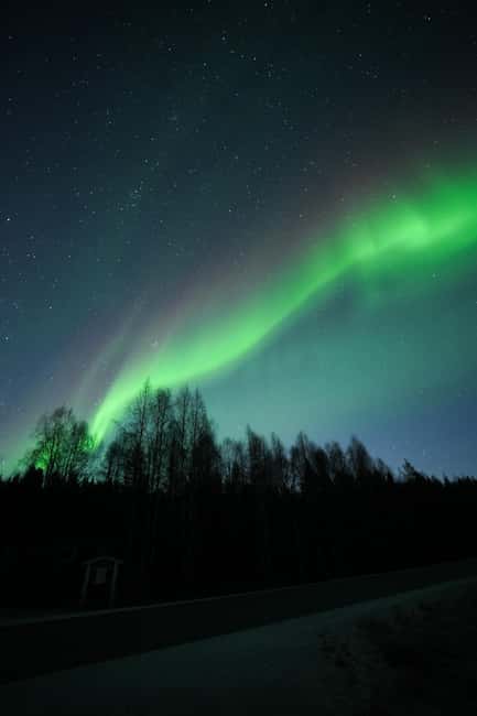 Rovaniemi: Coffee under Northern Lights & Professional Photo - What $116 Buys You