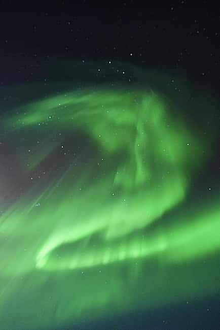 Rovaniemi: Family-Friendly Northern Lights Tour - Photography help under a dark sky