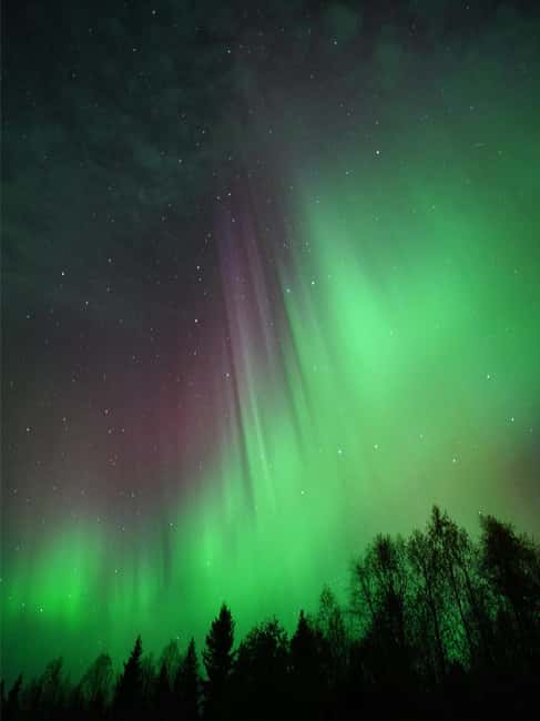 Rovaniemi: Family-Friendly Northern Lights Tour - Who should choose this experience