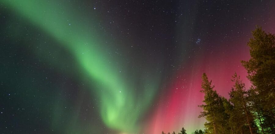 Rovaniemi: Guaranteed Aurora Hunting Tour with Local Guide - Is $159 a fair price?