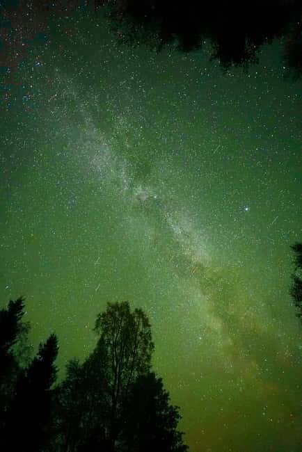 Rovaniemi: Guaranteed Aurora Hunting Tour with Photos&Videos - What the guide adds to the night