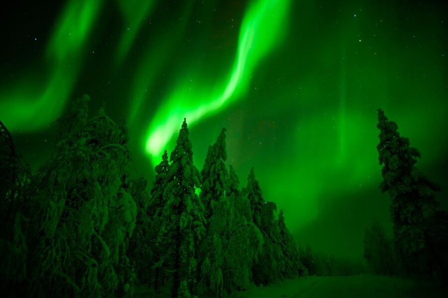Rovaniemi: Guaranteed Northern Lights Hunting Adventure - Who will enjoy this most
