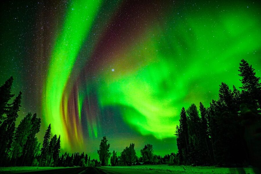 Rovaniemi: Guaranteed Northern Lights Hunting Adventure - The small-group advantage