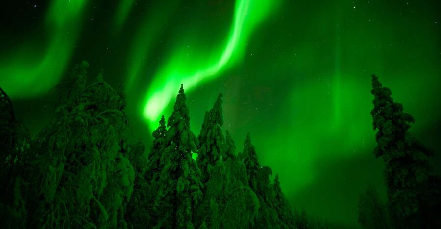 Rovaniemi: Guaranteed Northern Lights Hunting Adventure - Reading the sky before leaving town