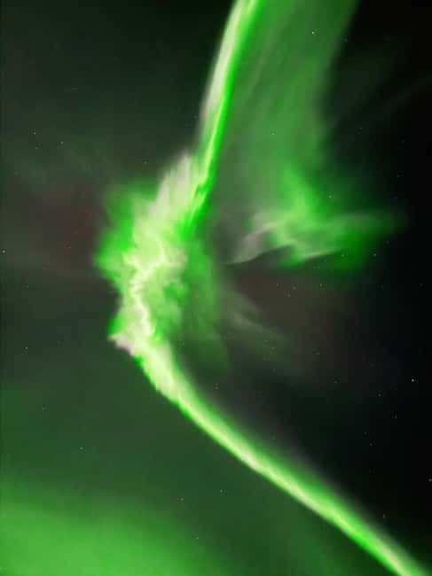 Rovaniemi: Guaranteed Northern Lights & Photography Tour - What the price means at $140
