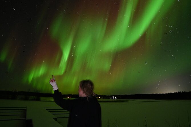Rovaniemi: Guaranteed Northern Lights - Small Group & Photography - Free DSLR photos are a real part of the value