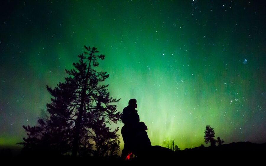 Rovaniemi: Guided Northern Lights Tour - Leaving Rovaniemi for darker Arctic skies