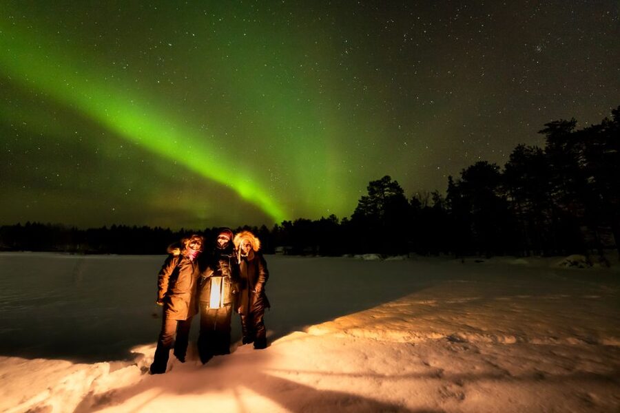 Rovaniemi: Guided Northern Lights Tour - Booking details worth getting right
