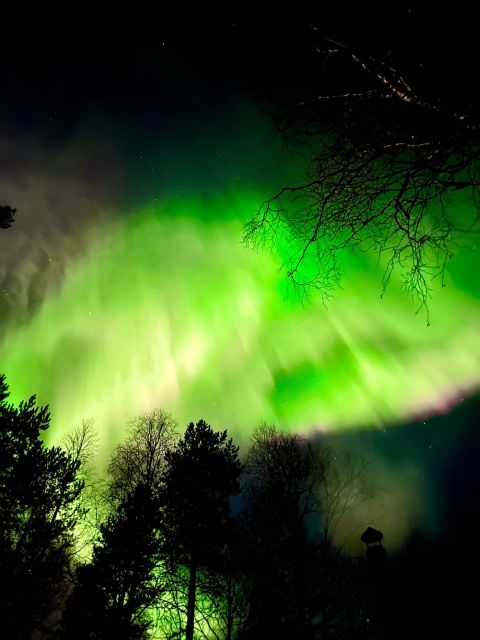 Rovaniemi Hunting Aurora at the Best Spots - What the guide adds beyond a simple transfer