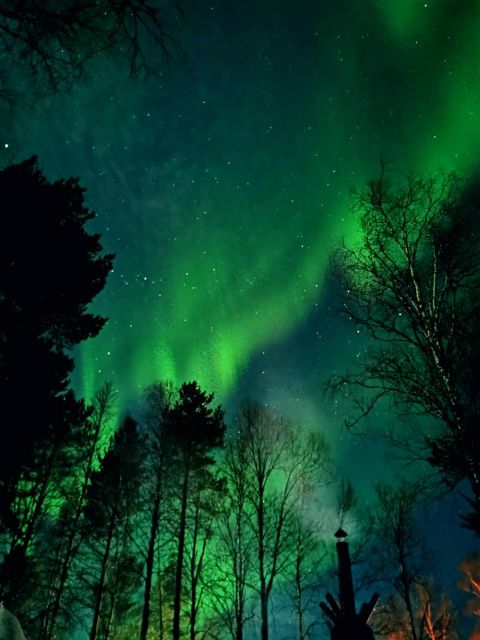 Rovaniemi Hunting Aurora at the Best Spots - Should you book this Rovaniemi aurora tour?