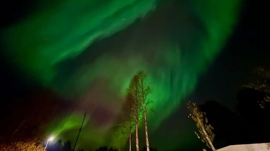 Rovaniemi: hunting for the Northern Lights with BBQ - Who will enjoy this outing most
