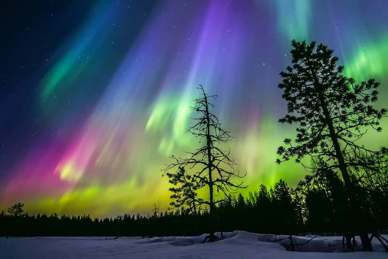 Rovaniemi: Ice Floating in Forest Lake with Aurora Borealis - Looking for the Northern Lights above the lake