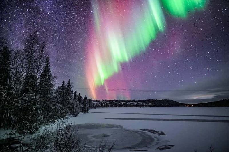 Rovaniemi: Ice Floating in Forest Lake with Aurora Borealis - Should you book it?