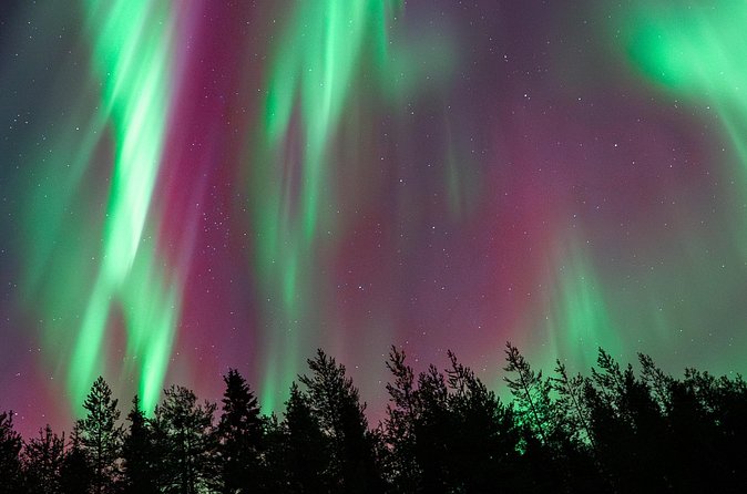 Rovaniemi Insider: Northern lights trip for families - Pickup timing needs careful attention