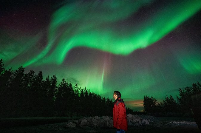 Rovaniemi Insider: Northern lights trip for families - Group size, guides, and the human side