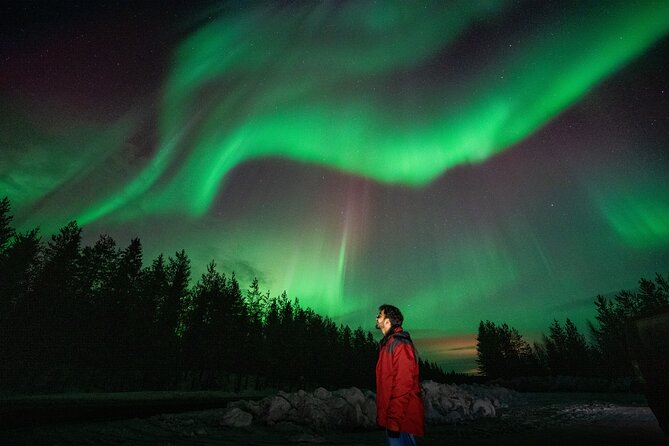 Rovaniemi Insider: Northern lights trip for families - Is $143.92 a fair price?