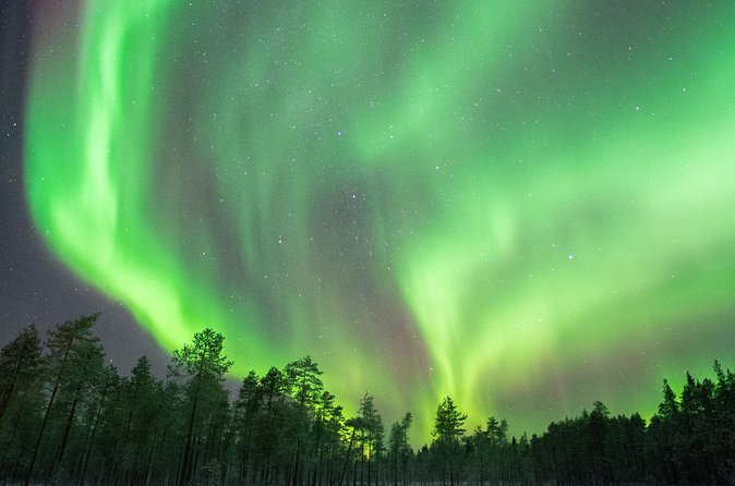 Rovaniemi Insider: Northern lights trip for families - Who should book this evening?