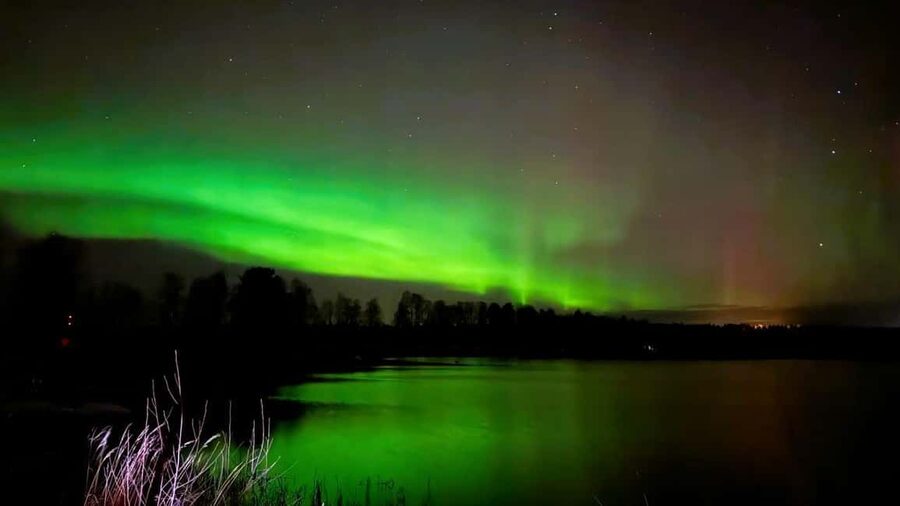 Rovaniemi: Night Tour in Search of the Aurora with BBQ - The BBQ is more than a snack break
