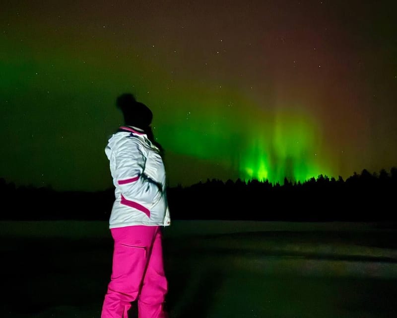 Rovaniemi: Night Tour in Search of the Aurora with BBQ - Practical booking advice