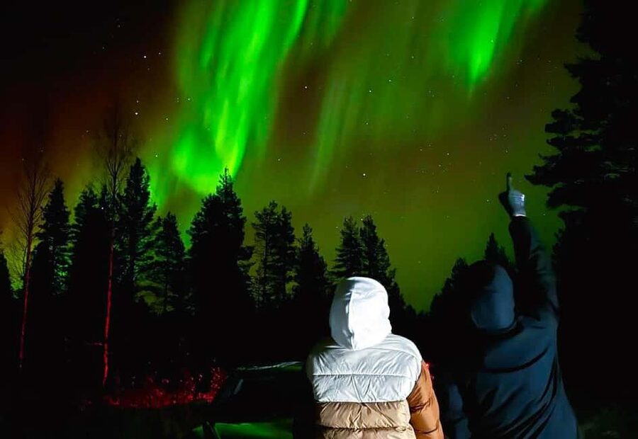 Rovaniemi: Night Tour in Search of the Aurora with BBQ - Should you book it?