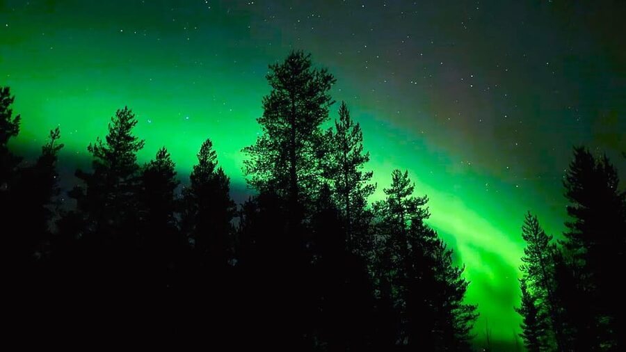 Rovaniemi: Night Tour in Search of the Aurora with BBQ - What seeing the aurora is really like