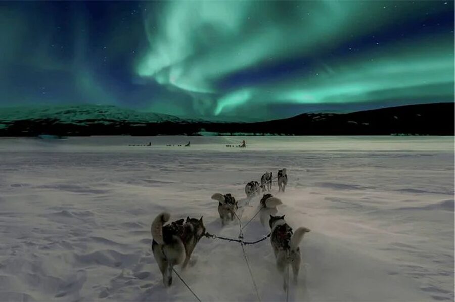 Rovaniemi: Northern Lights and Husky Sleigh Ride - A 5-kilometer ride through the winter dark