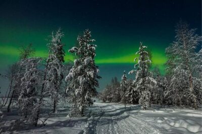 Northern Lights and Husky Sleigh Ride