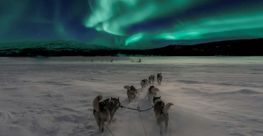 Rovaniemi: Northern Lights and Husky Sleigh Ride - Guides make a real difference