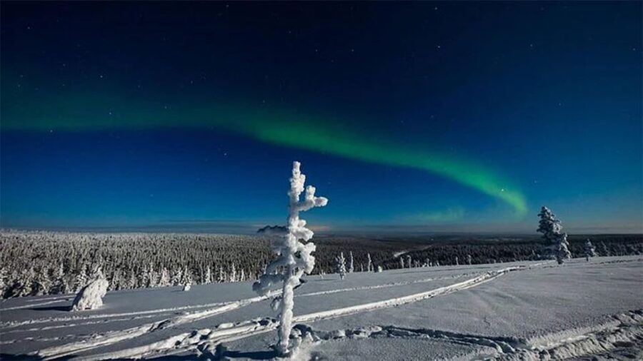 Rovaniemi: Northern Lights and Husky Sleigh Ride - Is $269 a fair price?
