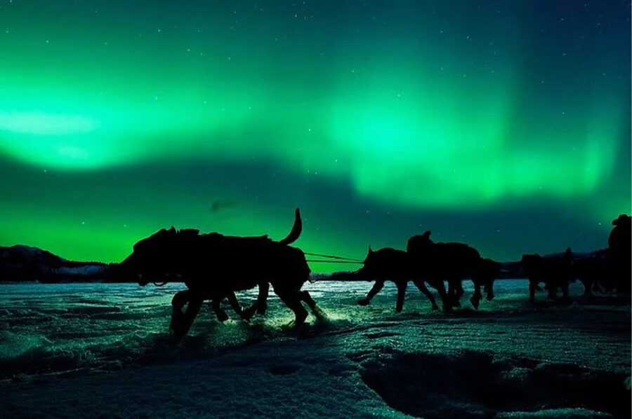 Rovaniemi: Northern Lights and Husky Sleigh Ride - FAQ