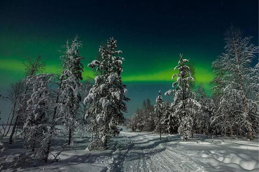 Rovaniemi: Northern Lights and Husky Sleigh Ride - What makes the farmhouse stop worthwhile