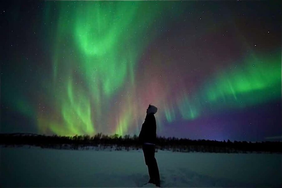 Rovaniemi: Northern Lights Aurora Guarantee Tour - Key points to know before booking