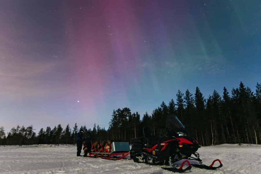 Rovaniemi: Northern Lights Family-Friendly Snowmobile Safari - A family ride through the snowy forest