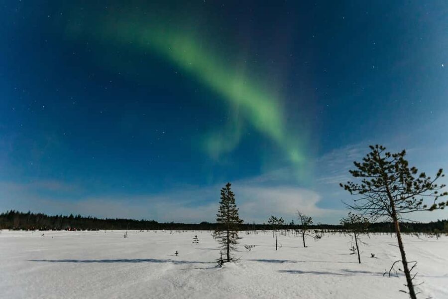 Rovaniemi: Northern Lights Family-Friendly Snowmobile Safari - The halfway stop with cocoa and forest quiet