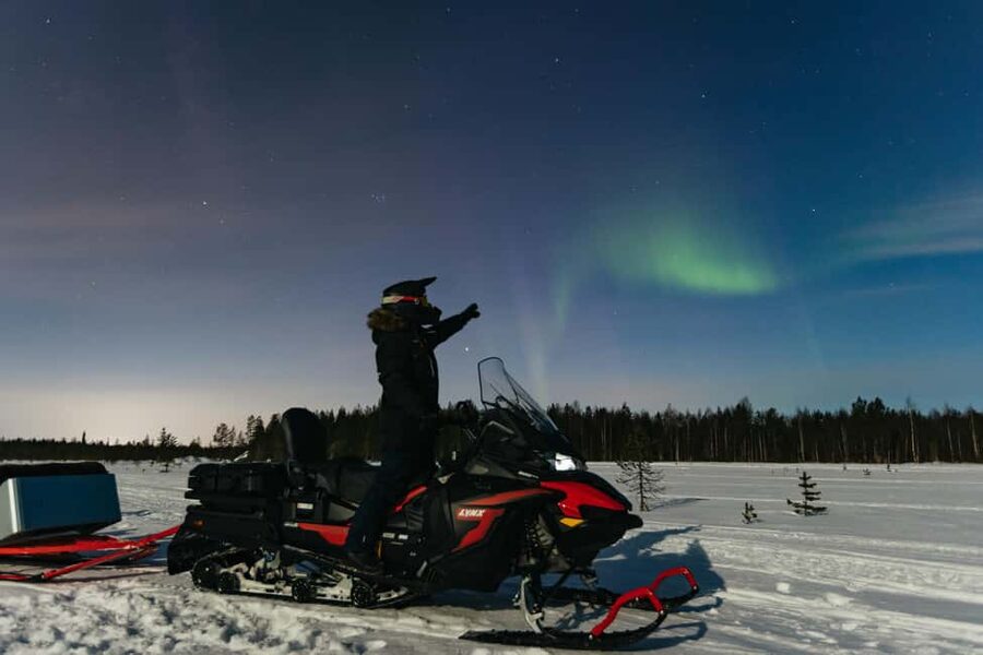 Rovaniemi: Northern Lights Family-Friendly Snowmobile Safari - Who should book this safari?