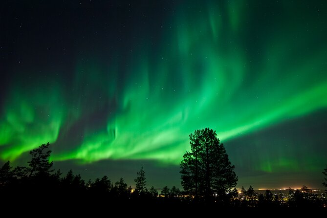Rovaniemi: Northern Lights Group Tour - Guaranteed View - What the guides add to the night