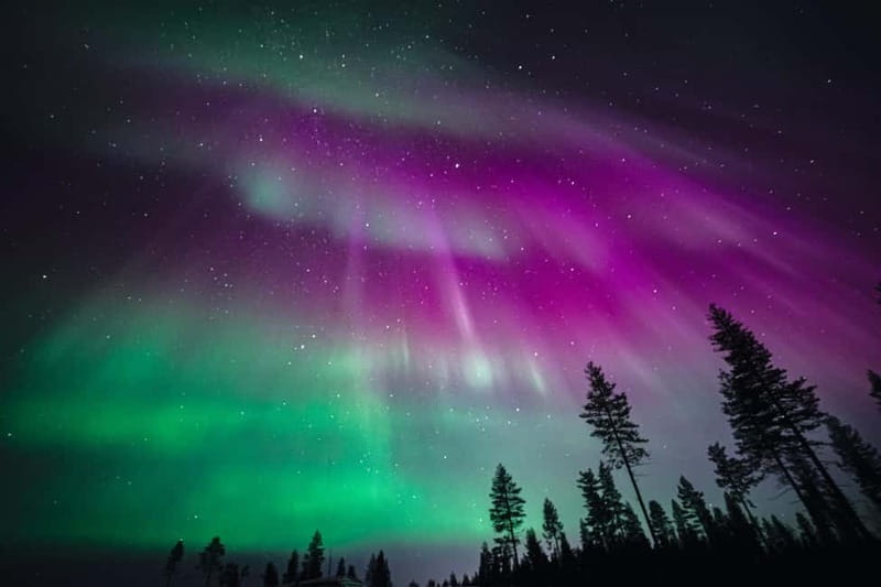 Rovaniemi: Northern Lights Group Tour with Guaranteed View - Key points to know before you book