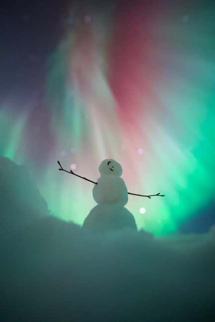Rovaniemi: Northern Lights Group Tour with Guaranteed View - Starting in central Rovaniemi