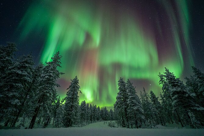 Rovaniemi Northern Lights Hunt With A Professional Photographer - Staying warm during a long winter night