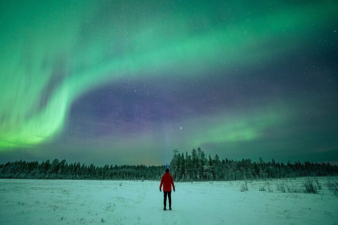 Rovaniemi Northern Lights Hunt With A Professional Photographer - Crowds, locations, and the feel of the experience