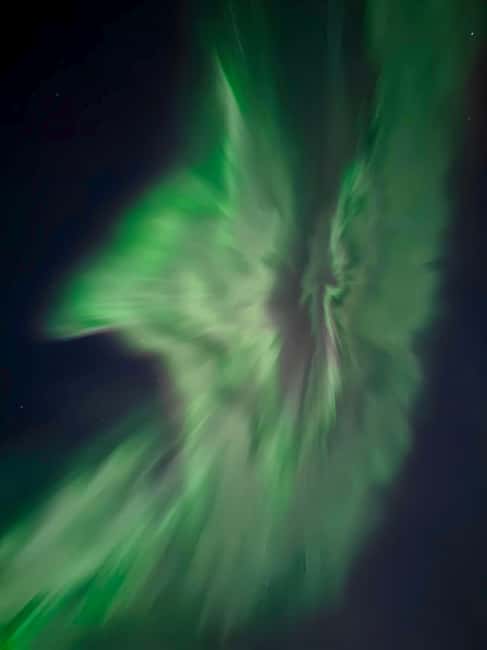 Rovaniemi: Northern Lights Hunt with Local Guides - Frozen lakes and snowy forests after dark