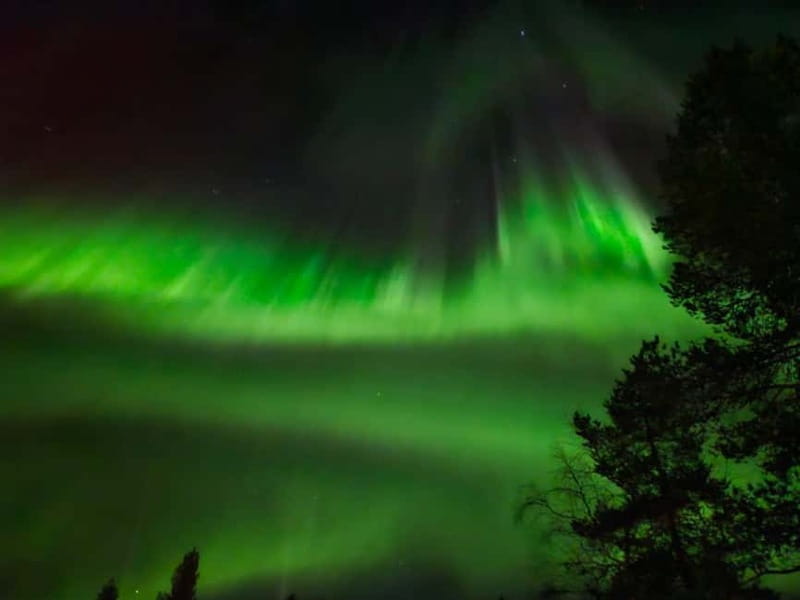 Rovaniemi: Northern Lights Hunters. Aurora + BBQ - The fire stop is more than a quick snack