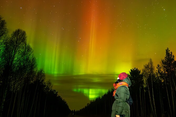Rovaniemi: Northern Lights Hunting and Photography Tour - Key points at a glance